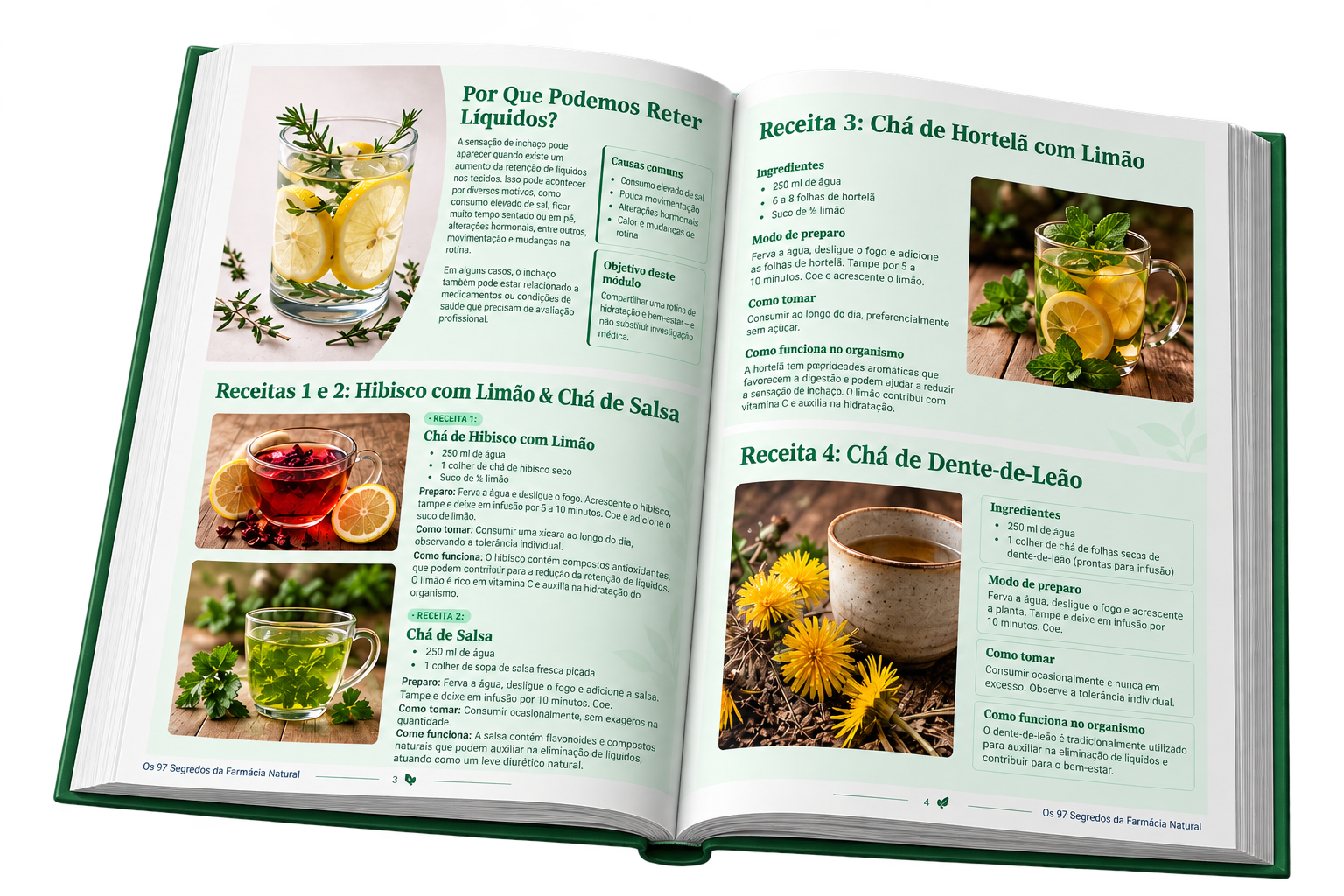 Livro aberto mostrando receitas naturais de hibisco, salsa, hortelã e dente-de-leão